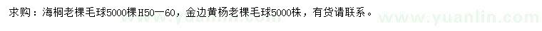 求购高50-60公分海桐、金边黄杨