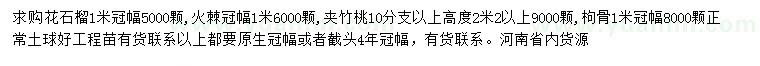 求购花石榴、火棘、夹竹桃等