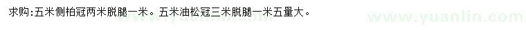 求购5米侧柏、油松