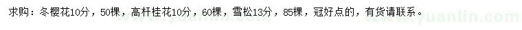 求购冬樱花、高杆桂花、雪松