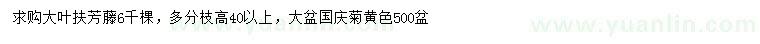 求购大叶扶芳藤、国庆菊