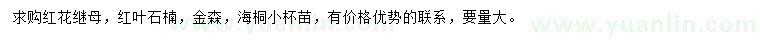 求购红花继木、红叶石楠、金森等