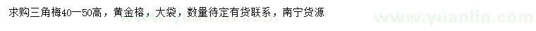 求购高40-50公分三角梅、黄金榕