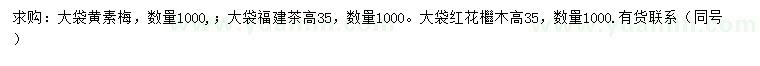 求购黄素梅、福建茶、红花继木