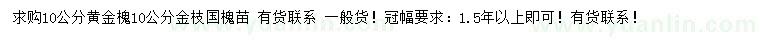 求购10公分黄金槐、金枝国槐