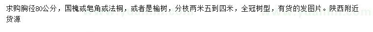 求购国槐、皂角、法桐等