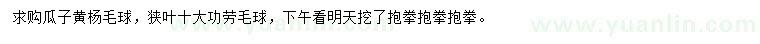 求购瓜子黄杨毛球、狭叶十大功劳毛球