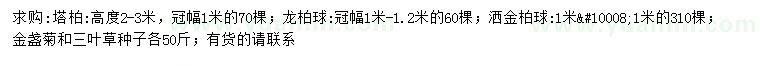 求购塔柏、龙柏球、洒金柏球等