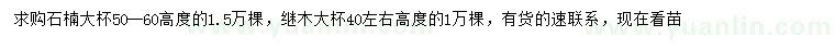 求购高50-60公分石楠、高40公分左右红花继木