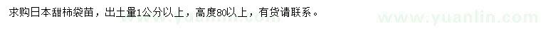 求购高80公分以上日本甜柿