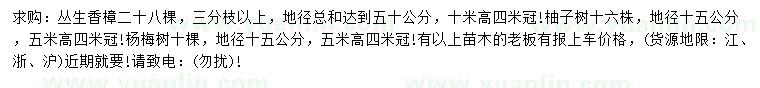 求购丛生香樟、柚子树、杨梅树