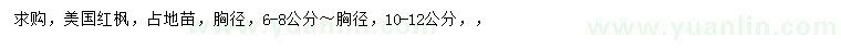求购胸径6-8、10-12公分美国红枫