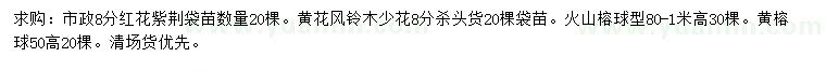 求购红花紫荆、黄花风铃木、火山榕等