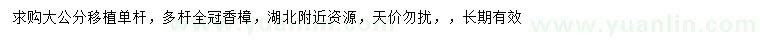 求购单杆、多杆香樟