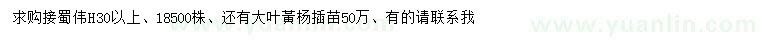 求购高30公分以上蜀桧、大叶黄杨苗