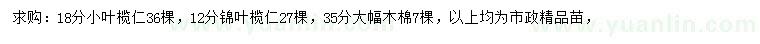 求购小叶榄仁、锦叶榄仁、大腹木棉