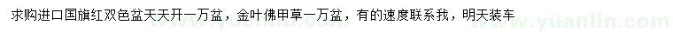 求购国旗红、天天开、金叶佛甲草