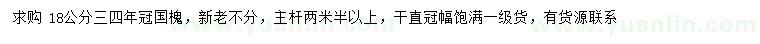 求购18公分国槐