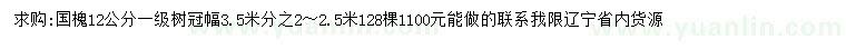 求购12公分国槐