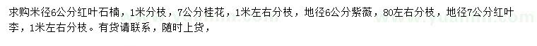 求购红叶石楠、桂花、紫薇等