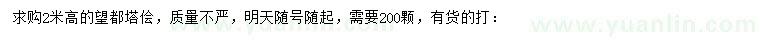 求购高2米望都塔桧