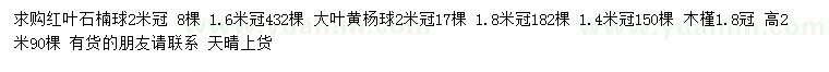 求购红叶石楠球、大叶黄杨球、木槿