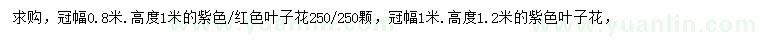 求购冠幅0.8、1米叶子花