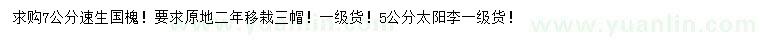 求购7公分速生国槐、5公分太阳李