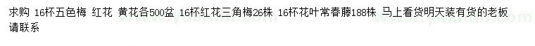 求购五色梅、三角梅、花叶常春藤