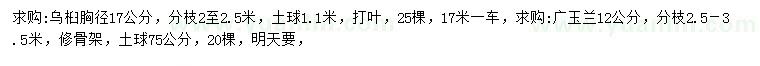 求购胸径17公分乌桕、12公分广玉兰