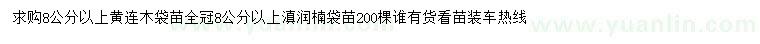 求购8公分以上黄连木、滇润楠