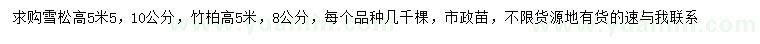 求购高5.5米雪松、高5米竹柏