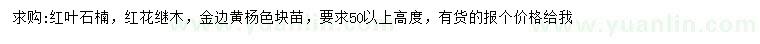 求购红叶石楠、红花继木、金边黄杨