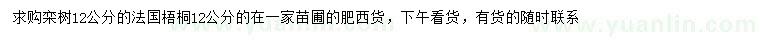 求购12公分栾树、法国梧桐