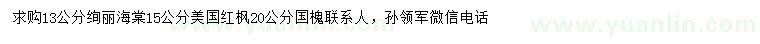 求购绚丽海棠、美国红枫、国槐