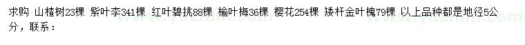 求购 山楂树、紫叶李、红叶碧挑等