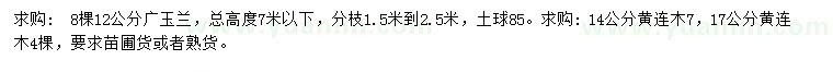 求购12公分广玉兰、 14、17公分黄连木
