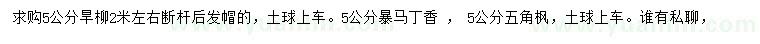 求购旱柳、暴马丁香、五角枫