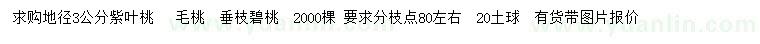 求购紫叶桃、毛桃、垂枝碧桃