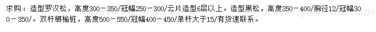 求购造型罗汉松、造型黑松、双杆榔榆桩