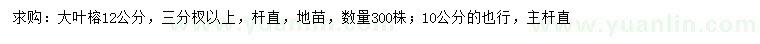 求购10、12公分大叶榕