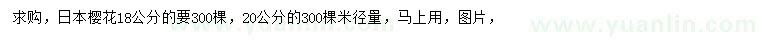 求购18、20公分日本樱花