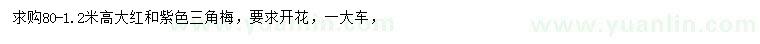 求购高80公分-1.2米三角梅