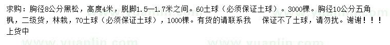 求购胸径8公分黑松、胸径10公分五角枫