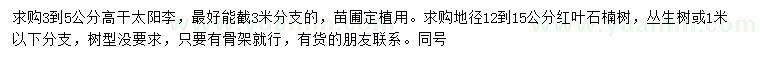 求购3-5公分高杆太阳李、地径12-15公分红叶石楠