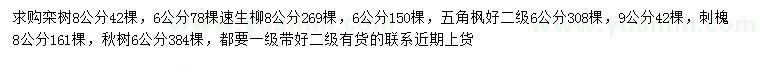 求购栾树、速生柳、五角枫等