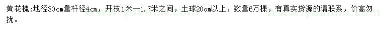 求购地径30公分黄花槐