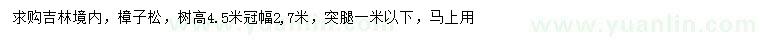 求购高4.5米樟子松