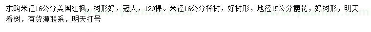 求购美国红枫、榉树、樱花