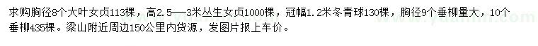 求购大叶女贞、丛生女贞、冬青球等